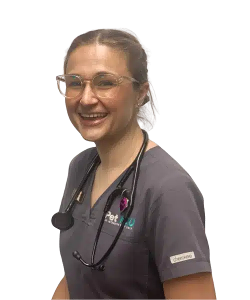 Hayley Strain Senior Veterinary Nurse
