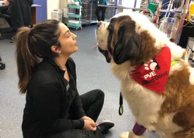 vet nurse and blood donor dog in veterinary hospital