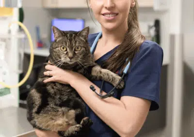 female veterinarian holding cat