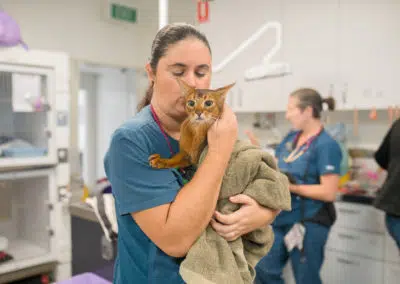 vet nurse in clinic smooching cat