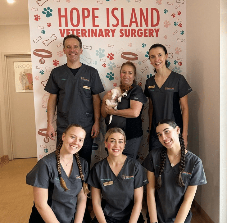 Hope Island Veterinary Surgery