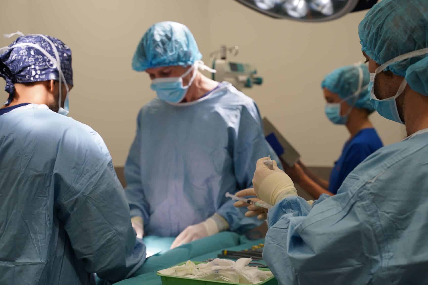 the future of veterinary medicine vets doing surgery