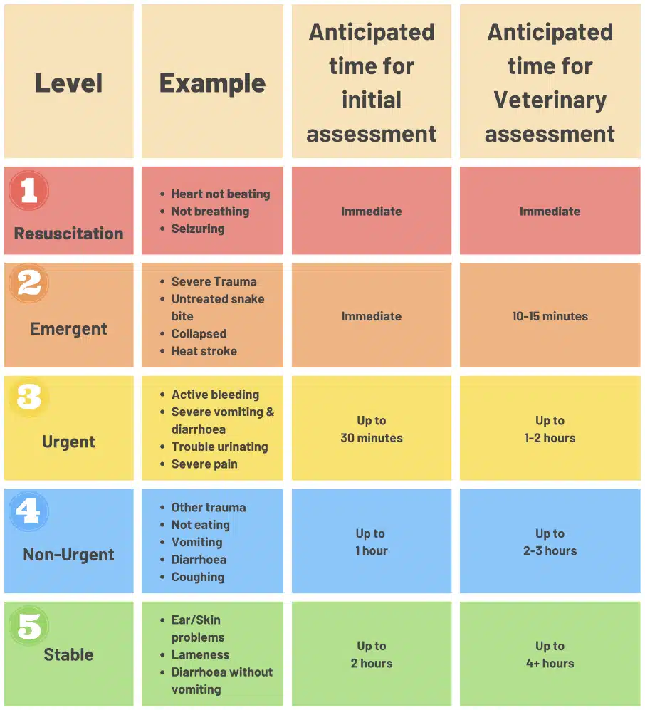 Veterinary emegency triage chart