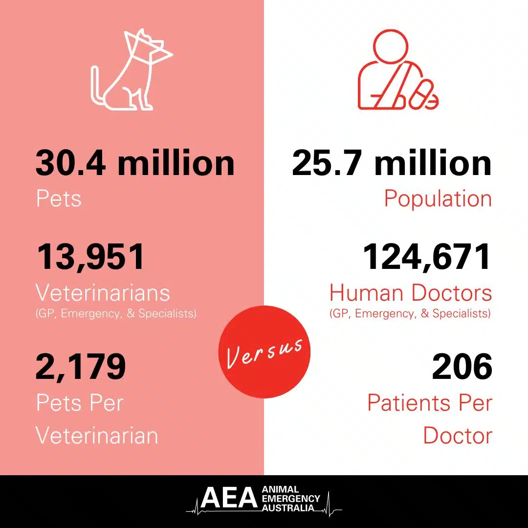 veterinary staffing statistics in Australia