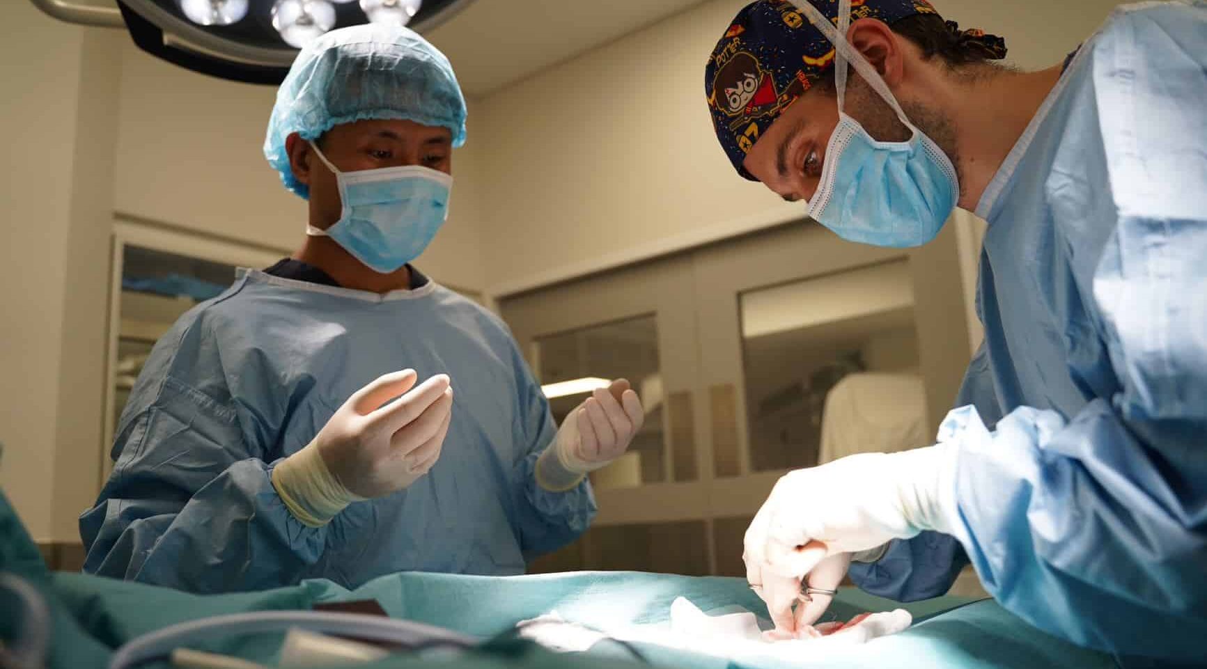 two vets in gowns performing surgery