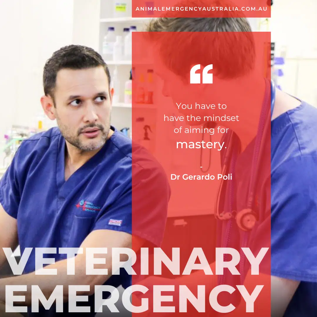 Dr Gerardo Poli Veterinarian Veterinary Emergency Quote