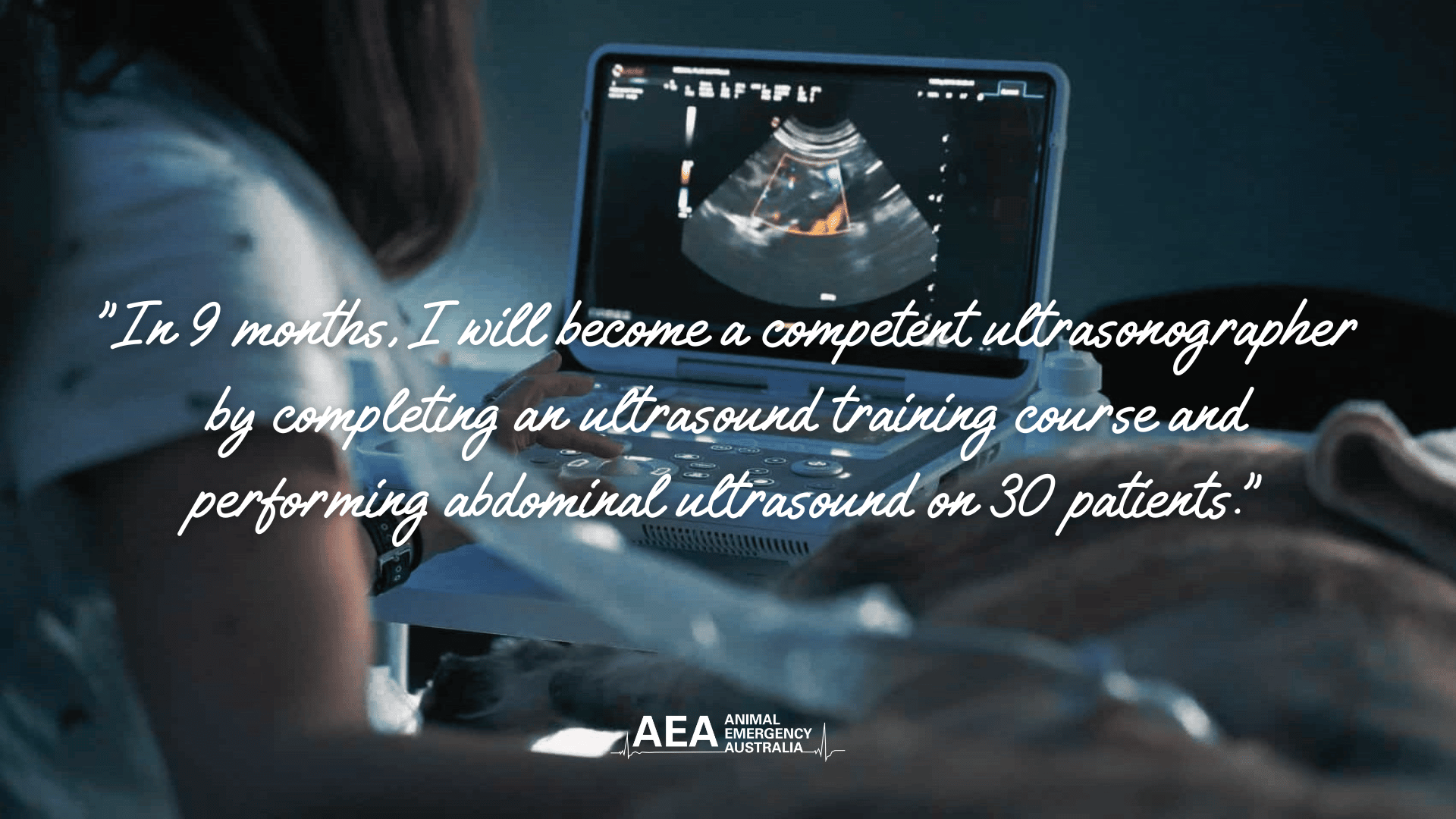 New years veterinary goals quote: “In 9 months, I will become a competent ultrasonographer by completing an ultrasound training course and performing abdominal ultrasound on 30 patients.”