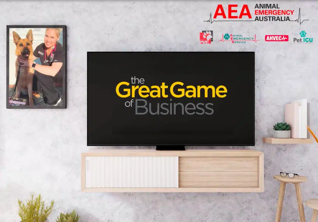 AEA Great Game of Business Launch GGOB