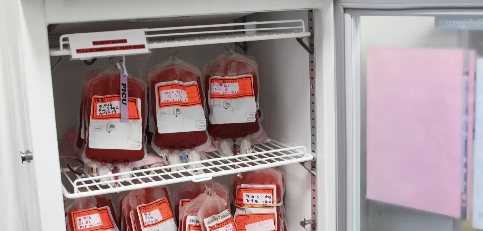 Veterinary Blood Transfusion Fridge Full of blood bags