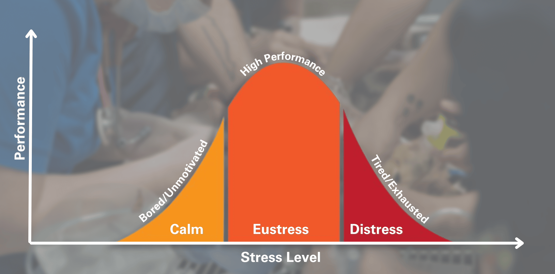 Stress as a veterinary professional stress curve diagram