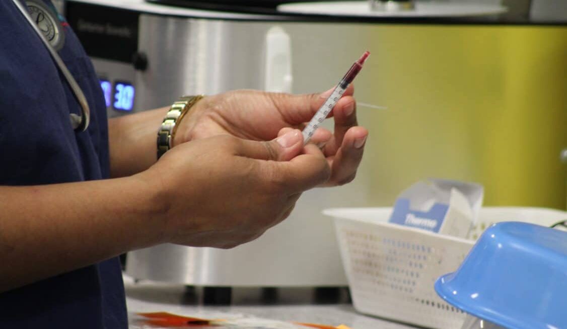 cross-matching in dogs syringe filled with blood being held by nurse