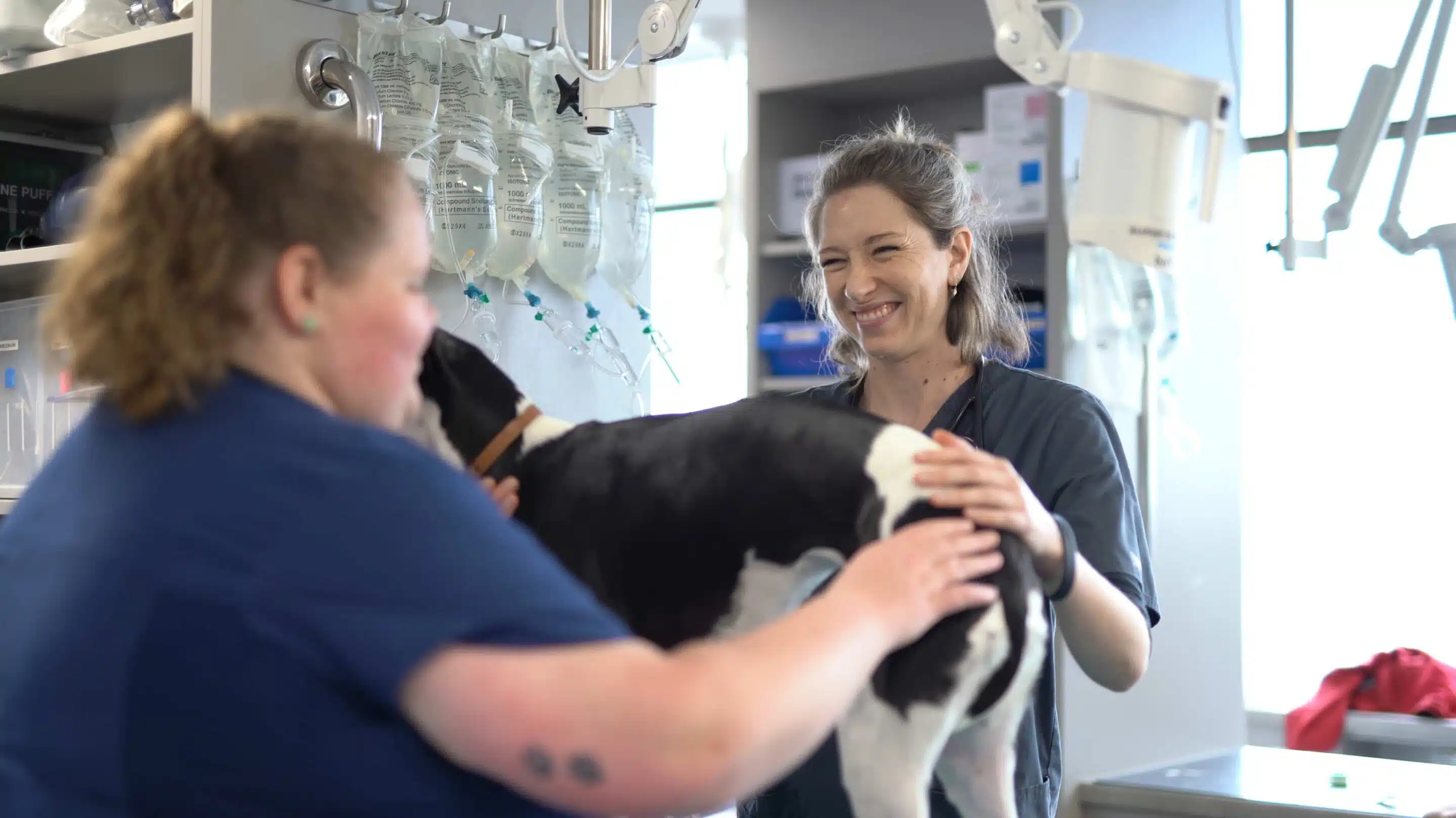 vet soft skills vet and nurse smiling while holding dog