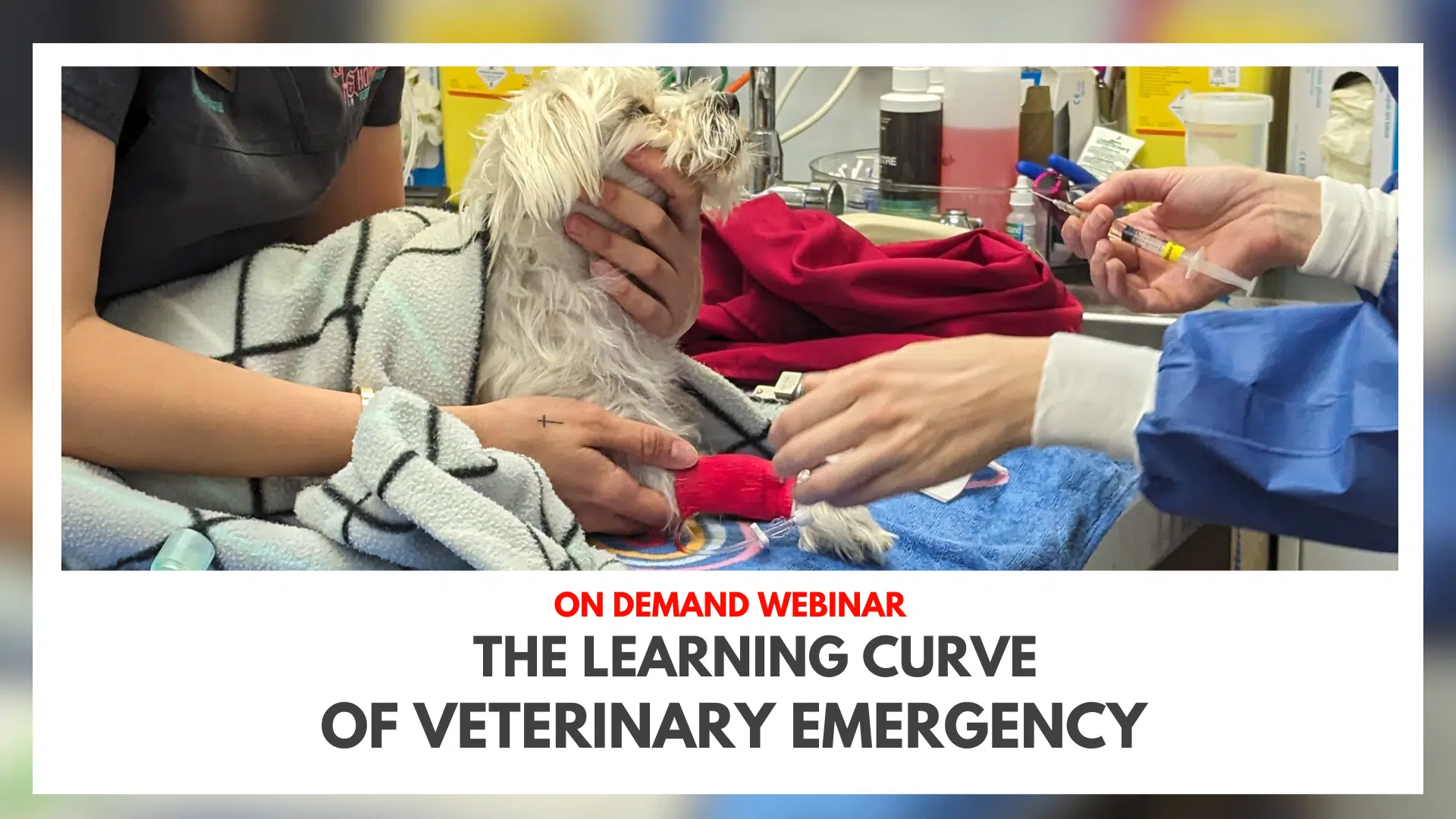 The Learning Curve of veterinary emergency