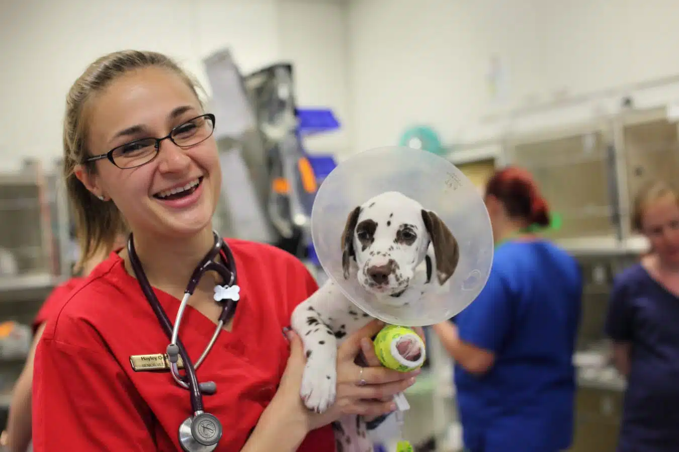 vet soft skills nurse laughing while holding puppy