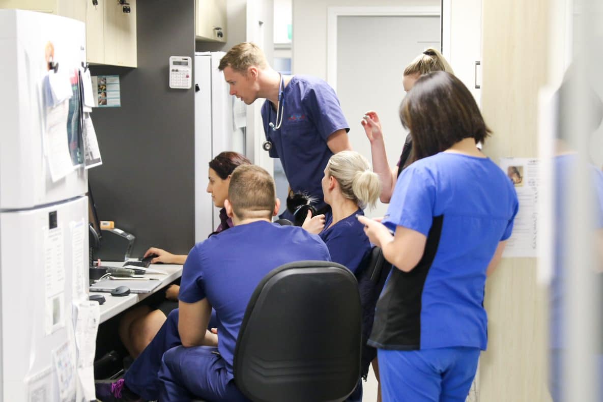 vet team huddle in clinic