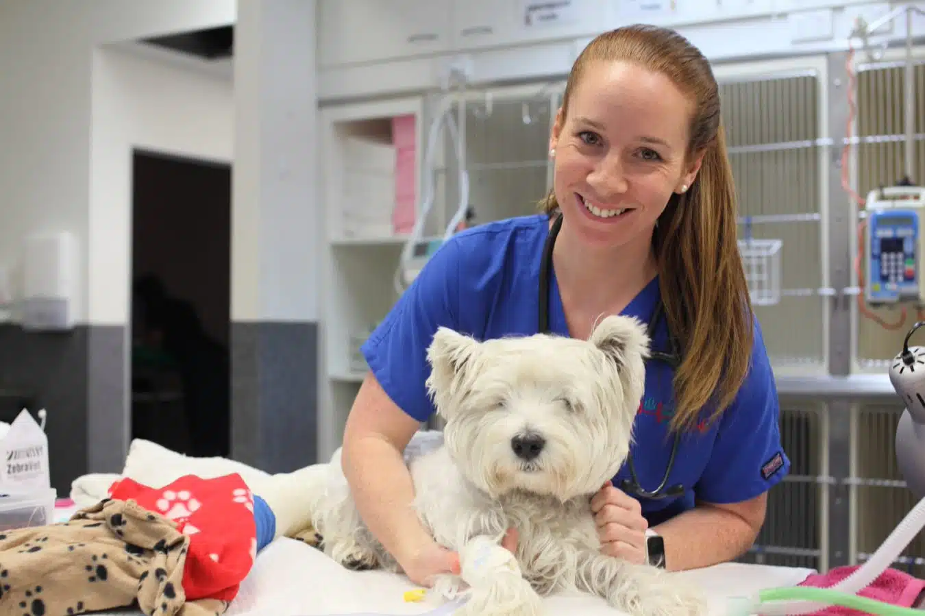 Animal emergency Australia vet smiling with dog