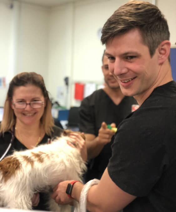 Vet watching vet student perform ultrasound while on veterinary clinical placement