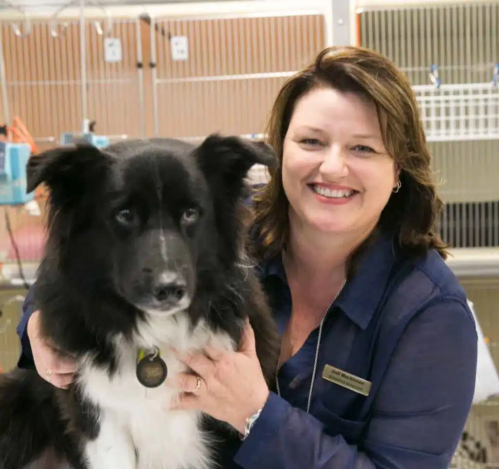 Jodi Mackinnon veterinary leadership