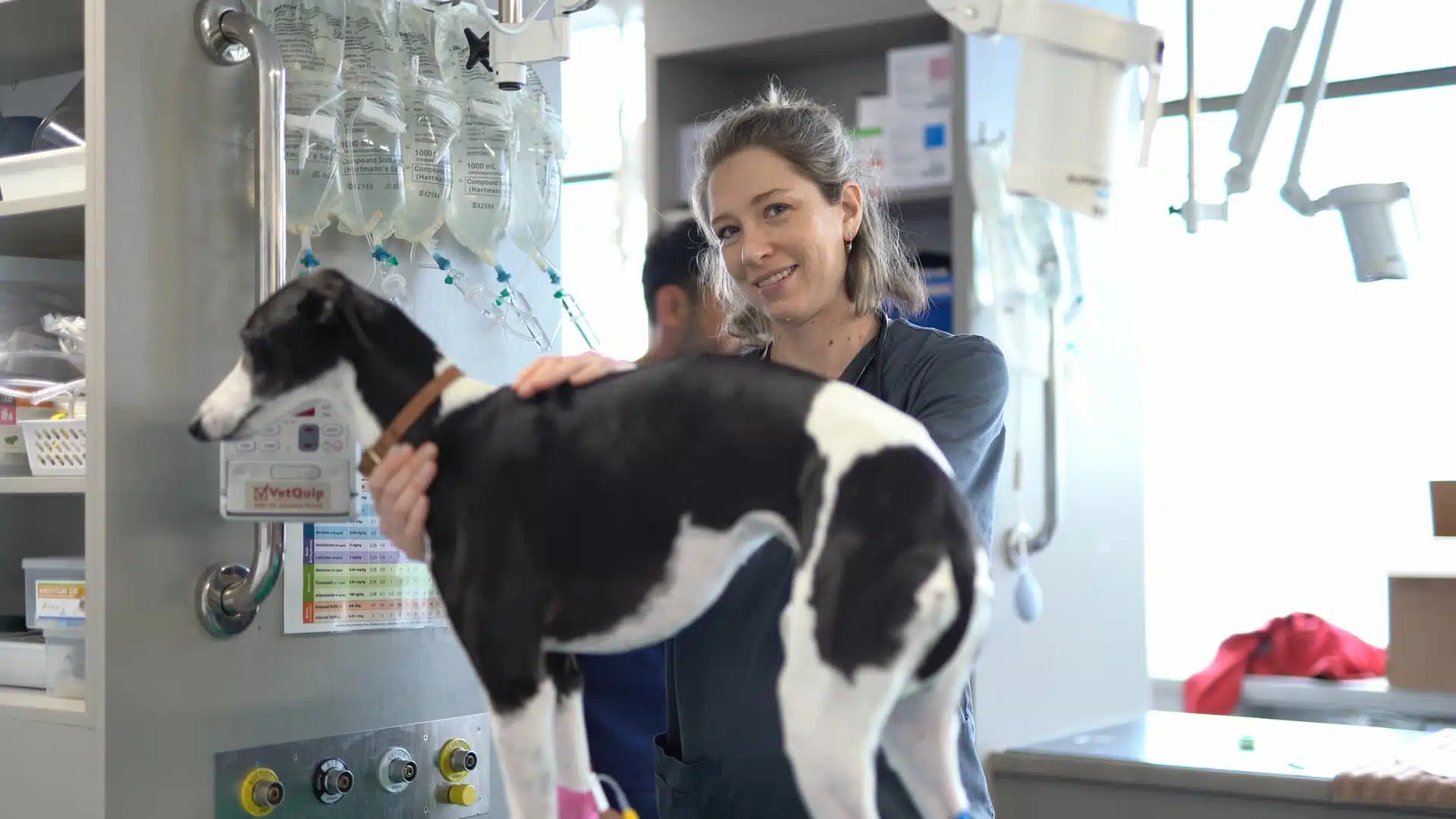 self-awareness for vets vet smiling while holding dog