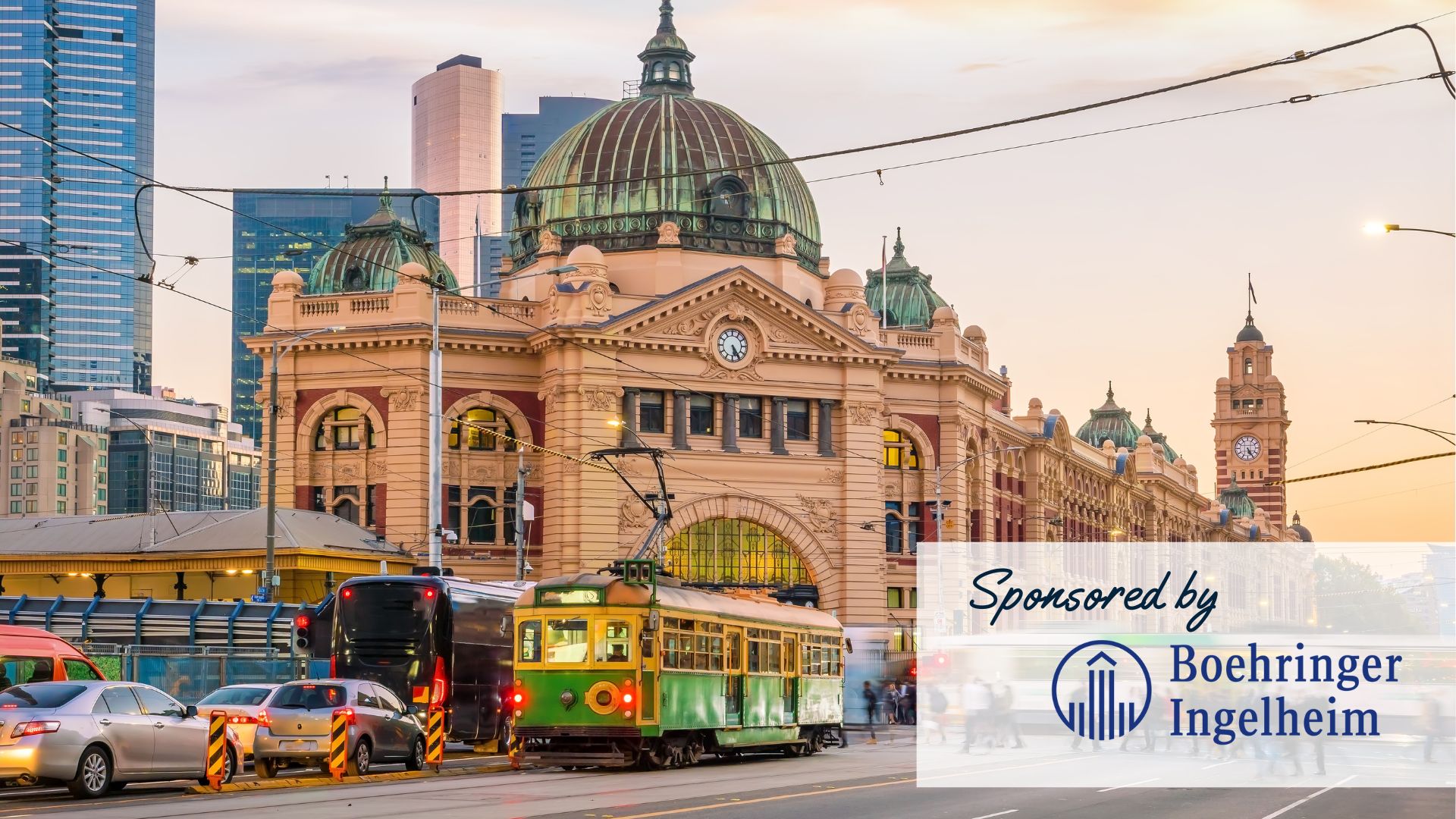 Tick Panel Roadshow 2023 Melbourne Animal Emergency Australia