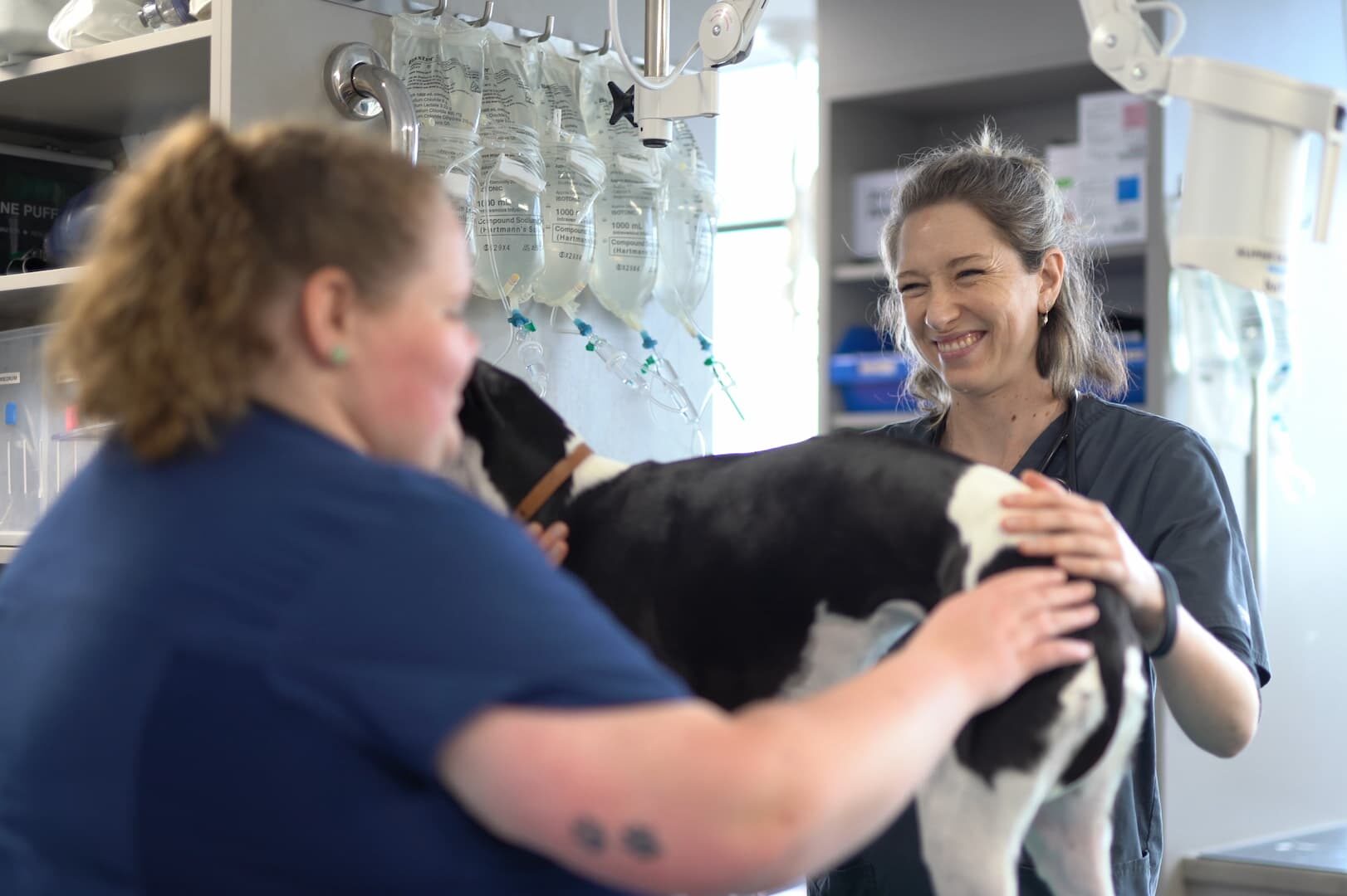 AES Hobart vet nurses smiling
