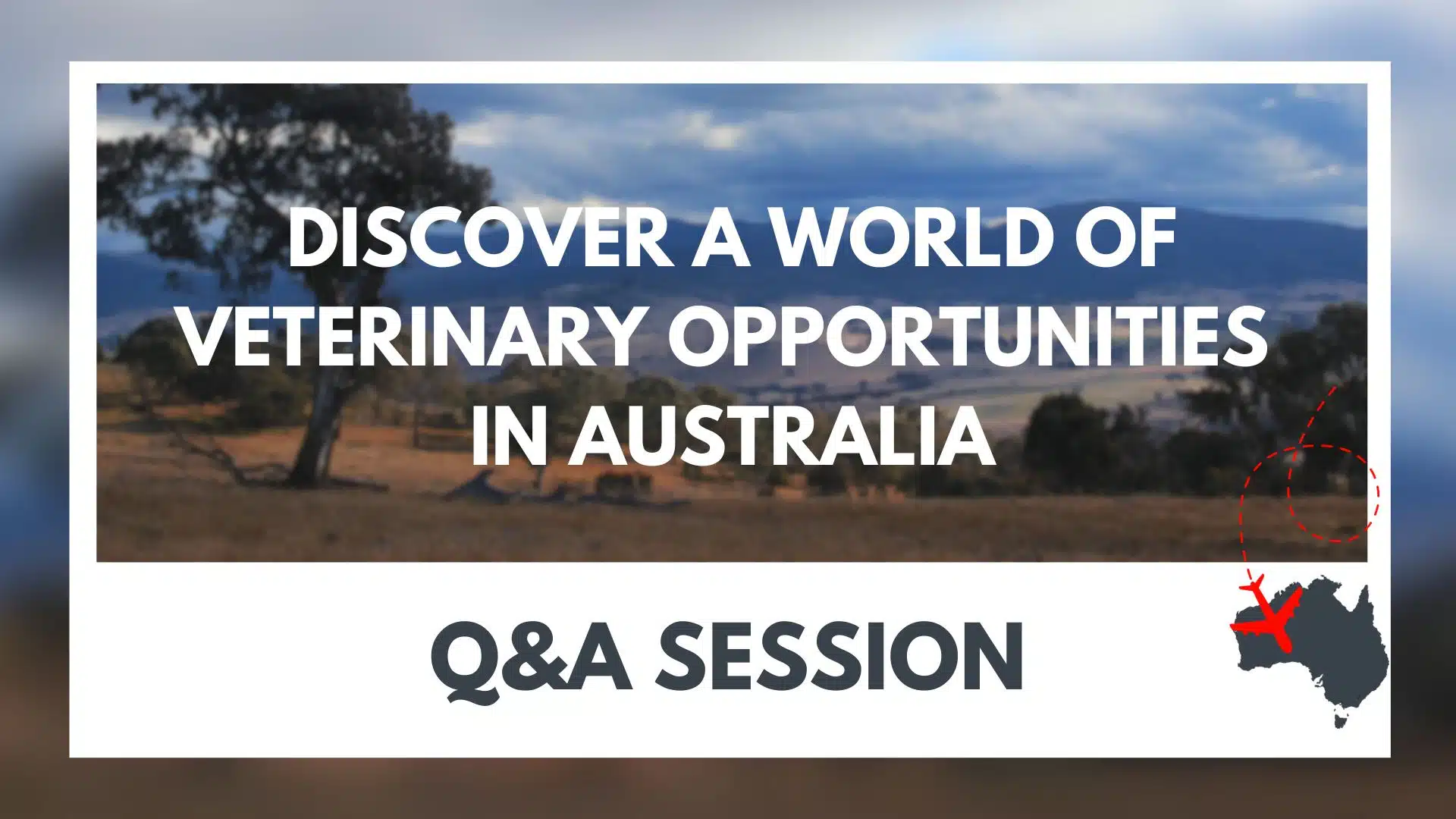 International veterinarian Q and A session with Animal Emergency Australia