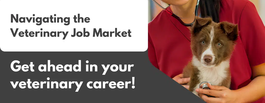 veterinary job market banner