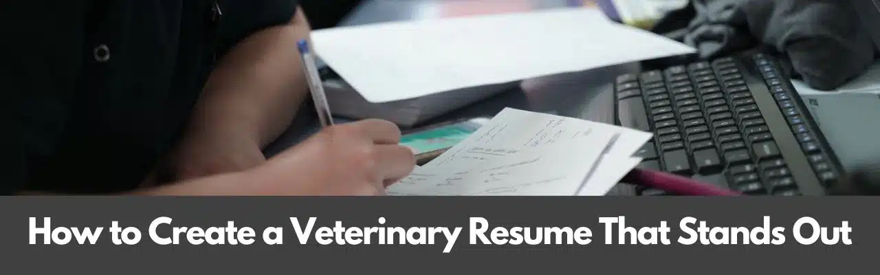 Create a Veterinary Resume that stands out