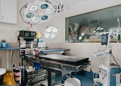 Canberra Veterinary Emergency Service surgery room