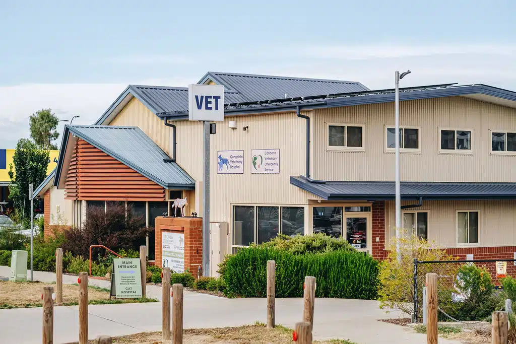 Canberra Veterinary Emergency Service