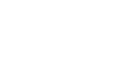 Canberra Veterinary Emergency Service logo white