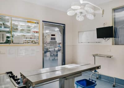 Canberra Veterinary Emergency Service surgery room