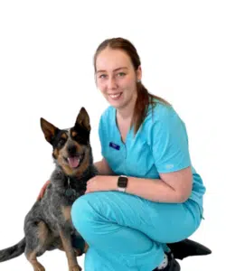 Megan Wright Canberra Veterinary Emergency Service