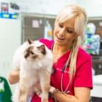 Dr Ashleigh Ehrmann. Veterinarian, AES Carrara