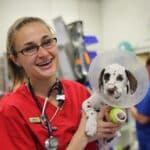 Hayley Strain, Clinical Nurse Manager at Pet ICU