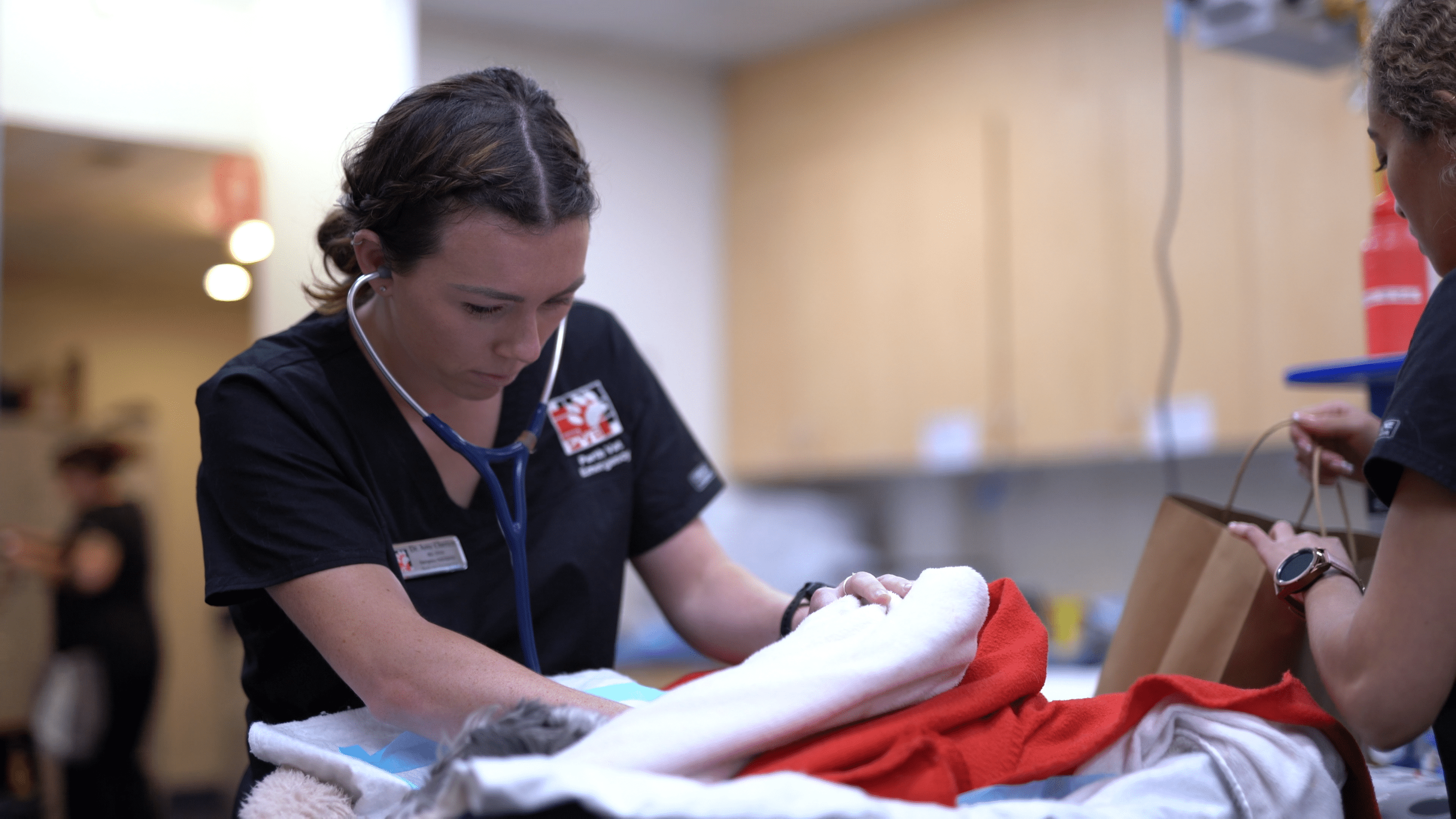 Animal Emergency Australia Unites Perth Emergency Hospitals Under the Animal Emergency Service Name